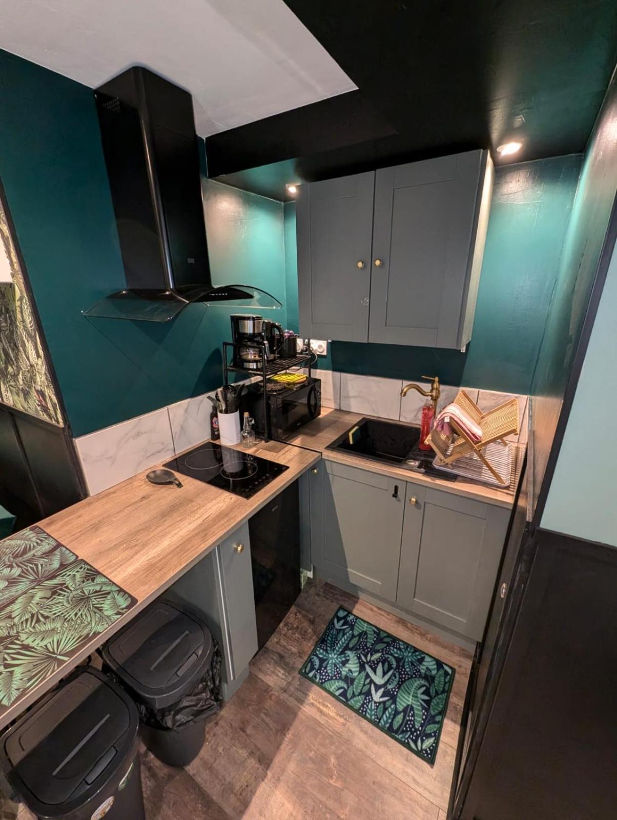 Appartement Verdoyant Au Bord Du Lac Leman Entre Evian Et Thonon Dans Une Villa Амфион-ле-Бен Экстерьер фото