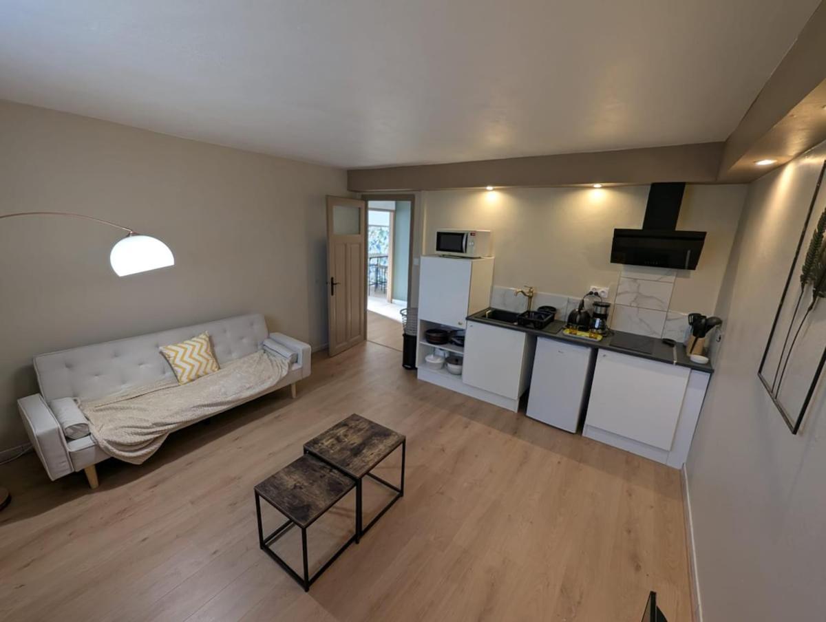 Appartement Verdoyant Au Bord Du Lac Leman Entre Evian Et Thonon Dans Une Villa Амфион-ле-Бен Экстерьер фото