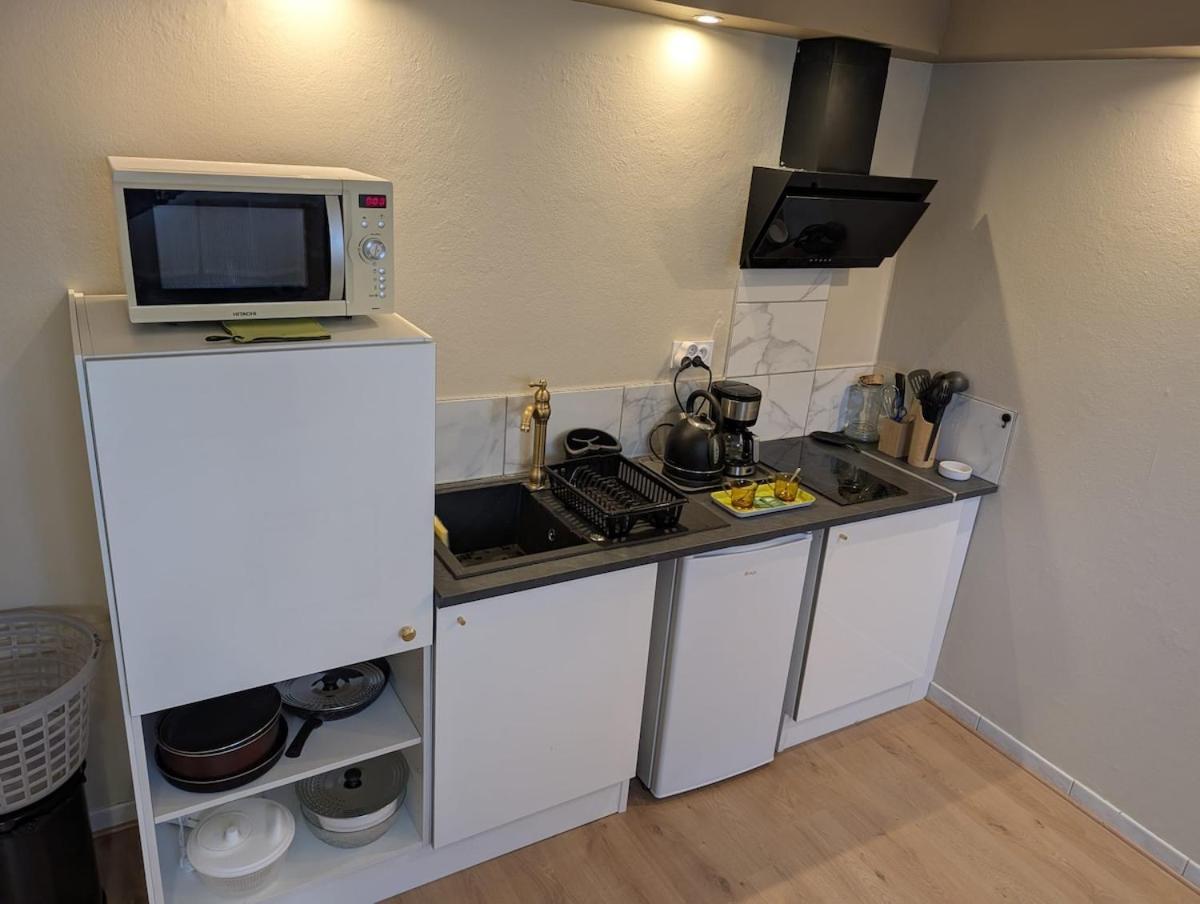 Appartement Verdoyant Au Bord Du Lac Leman Entre Evian Et Thonon Dans Une Villa Амфион-ле-Бен Экстерьер фото