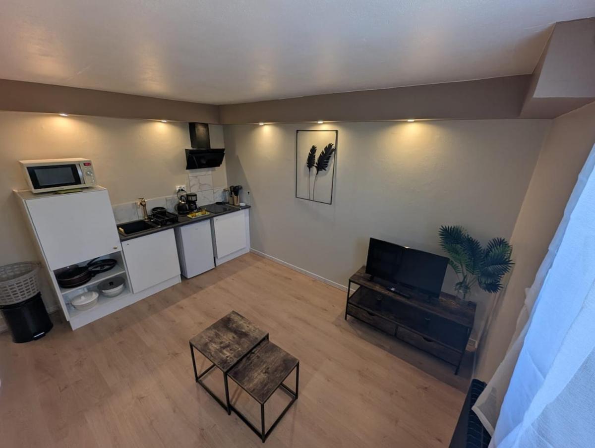 Appartement Verdoyant Au Bord Du Lac Leman Entre Evian Et Thonon Dans Une Villa Амфион-ле-Бен Экстерьер фото