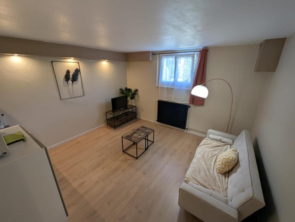 Appartement Verdoyant Au Bord Du Lac Leman Entre Evian Et Thonon Dans Une Villa Амфион-ле-Бен Экстерьер фото
